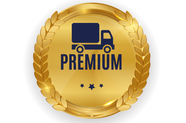 servico premium mudanças